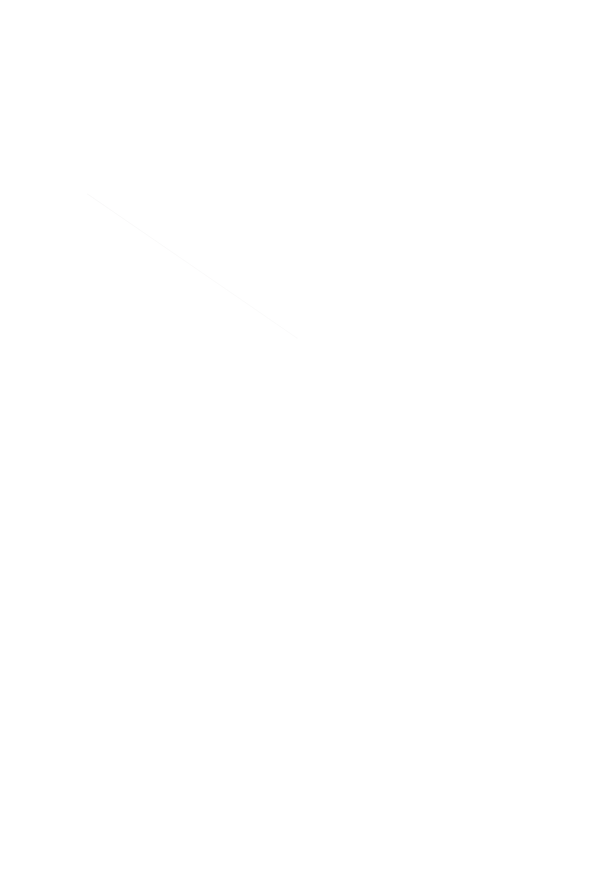 Salta Dev
